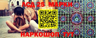 дмт Новокубанск