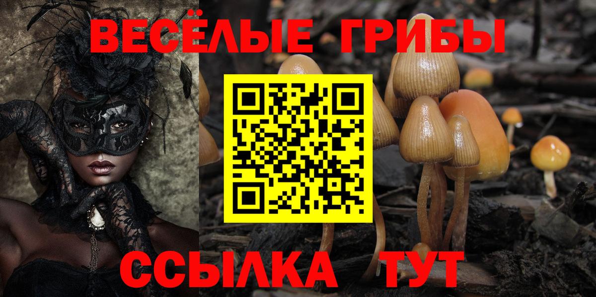 Псилоцибиновые грибы GOLDEN TEACHER  Псилоцибиновые грибы ЛСД  Советский  Вход с VPN 